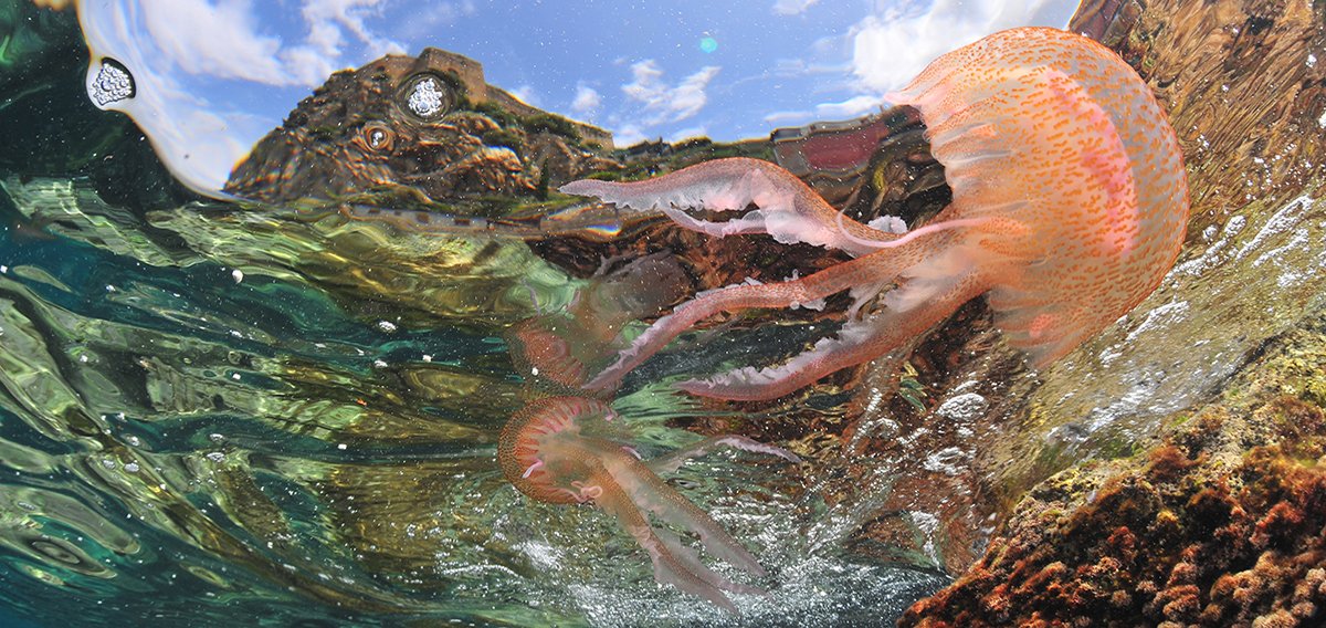 Fotografia del territorio